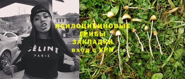 a pvp Аркадак