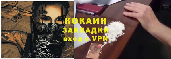эйфоретик Арсеньев