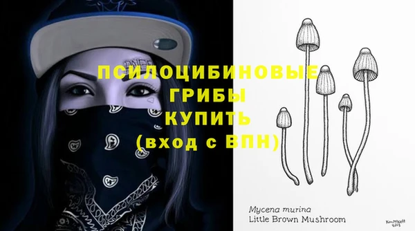 a pvp Аркадак