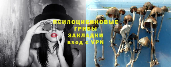 a pvp Аркадак
